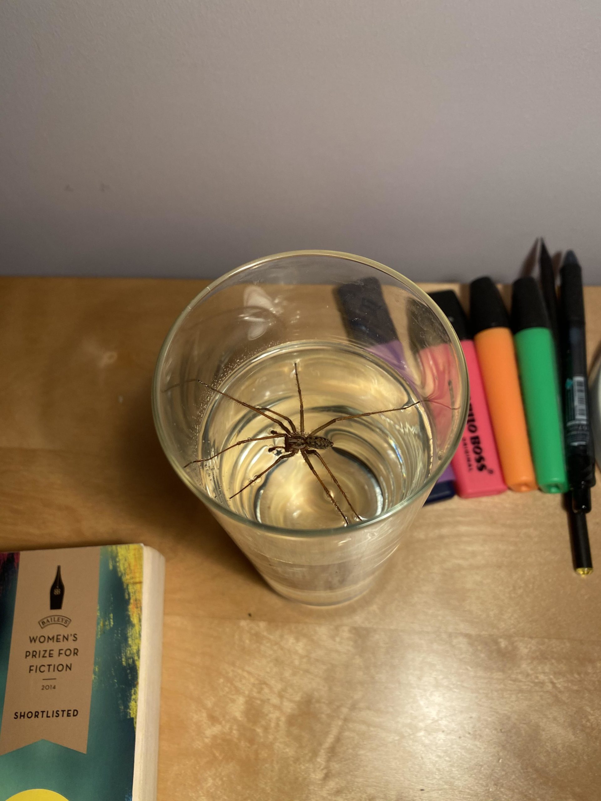 Never+trust+your+bedside+water+cup.