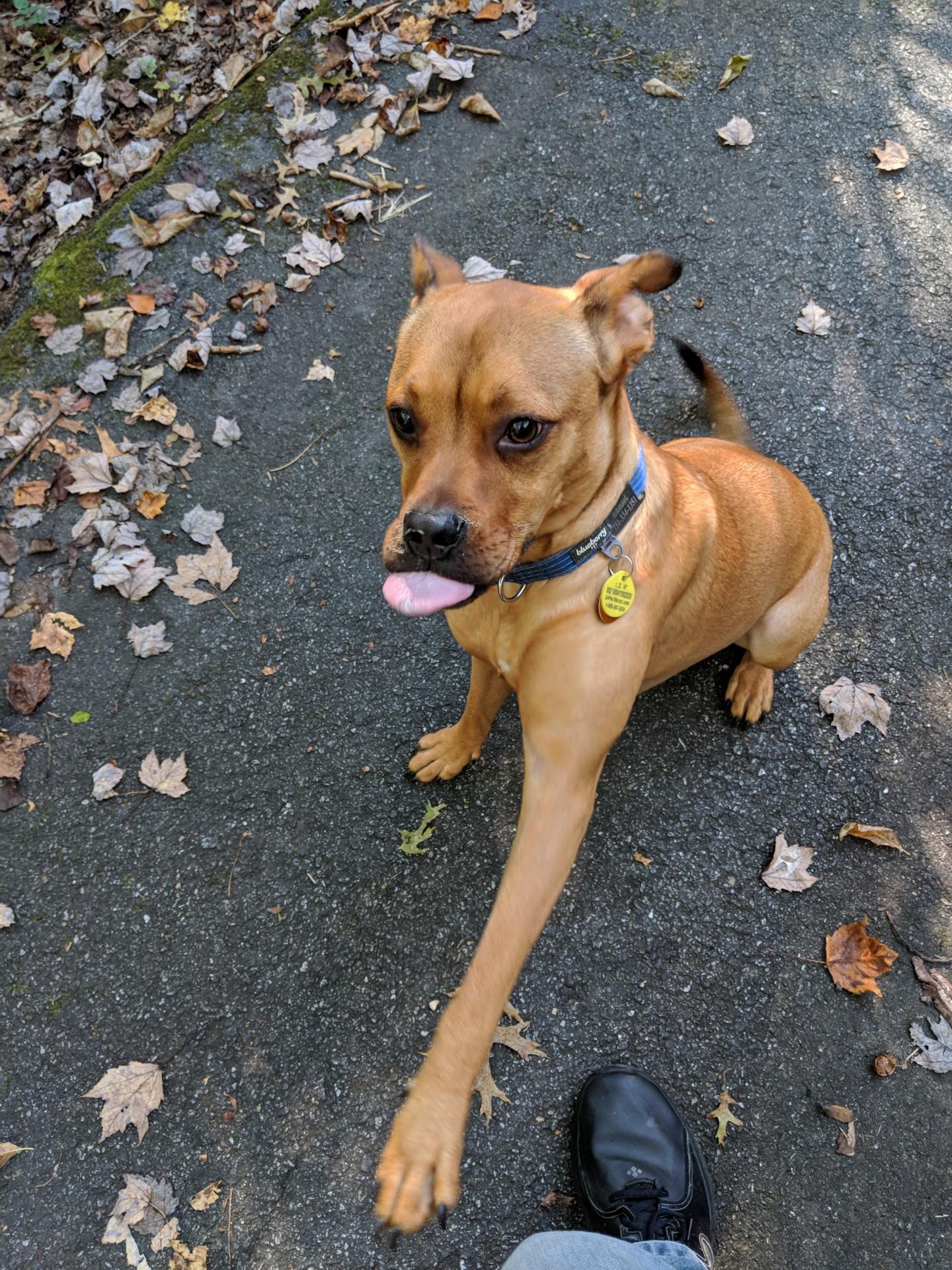 Just+learned+to+shake.+He+really%2C+really+wants+you+to+shake.