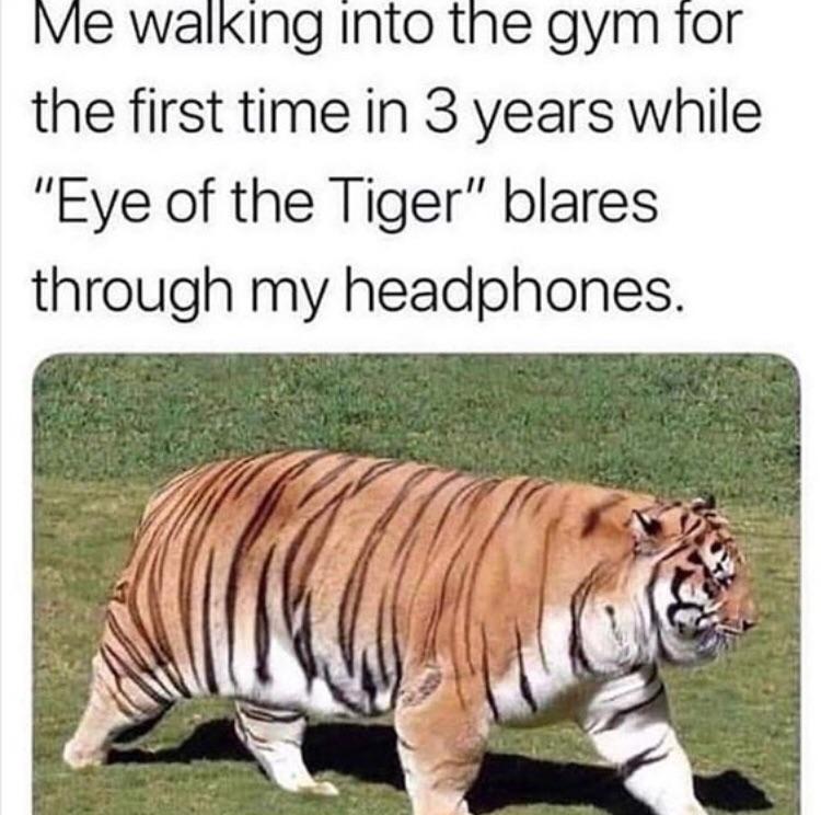 Who+else+can+relate%3F