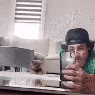 Dogs+are+sneakier+than+we+give+them+credit+for.