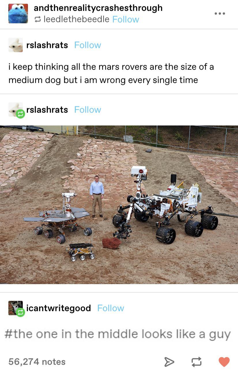 The+rovers+are+bipeds%2C+also.