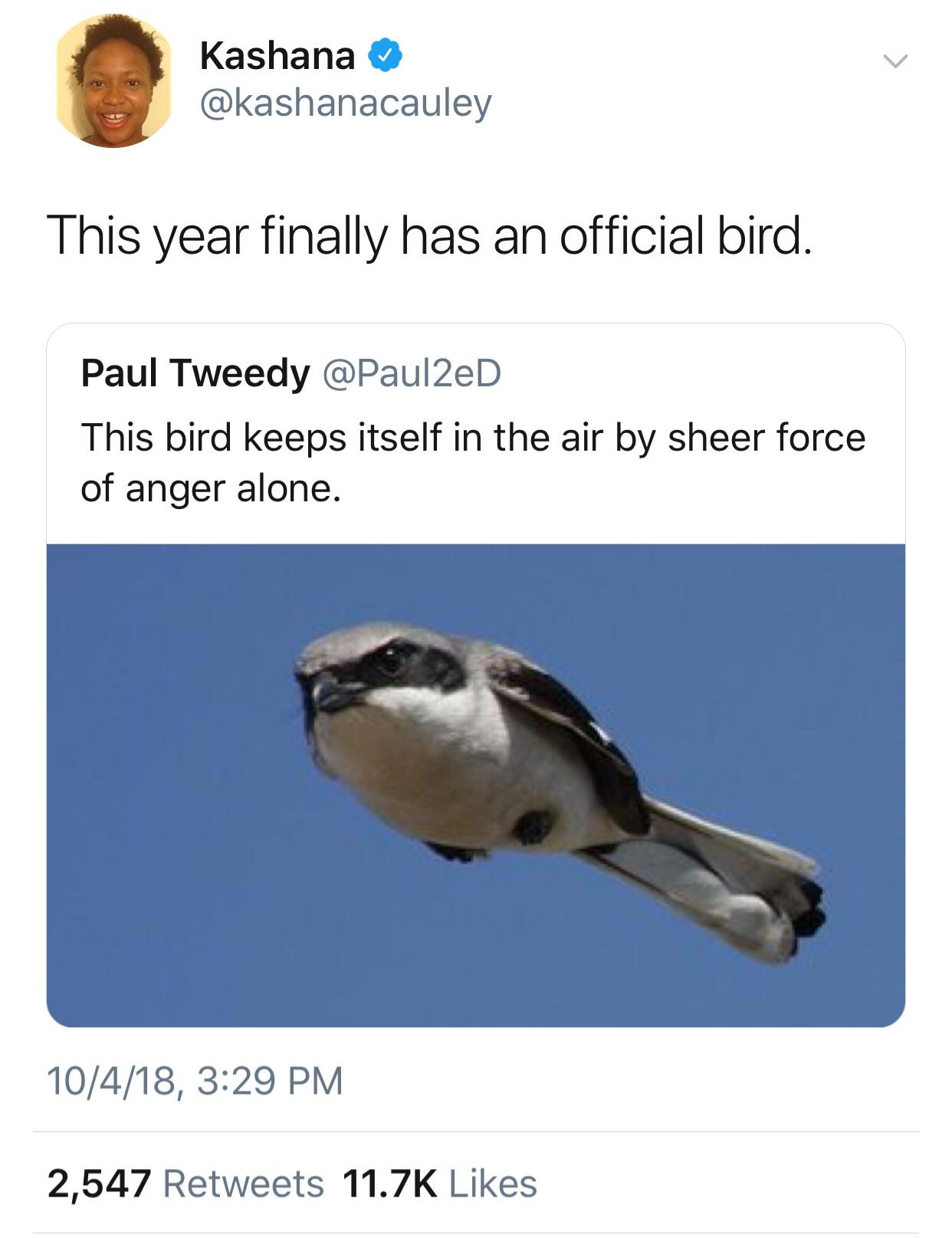 This+year+can+suck+it