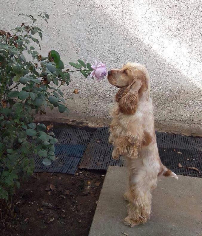 Zen+is+a+universal+feeling.