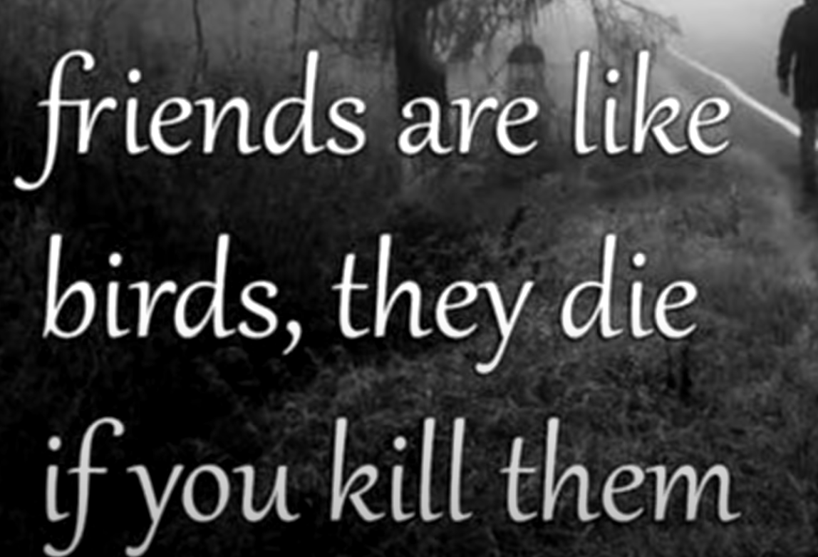 BIRDS+AREN%26%238217%3BT+REAL+%28just+like+your+friends%29