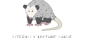 Opossum+Simp+prefers+ticks.