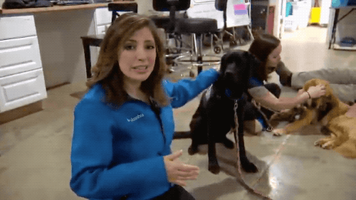 You+can%26%238217%3Bt+just+do+that+to+the+doge%2C+lady.