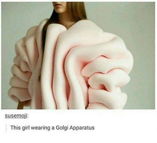 The+folding+will+continue.