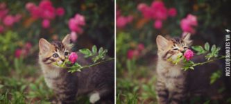 Stopping+to+smell+the+flowers