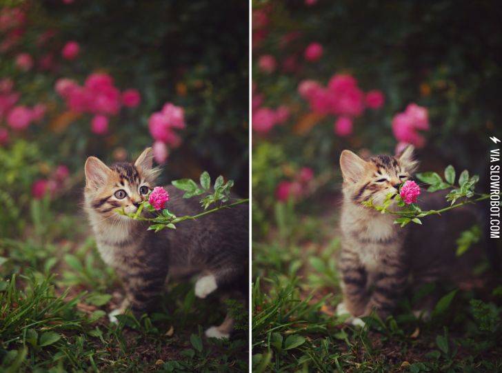 Stopping+to+smell+the+flowers