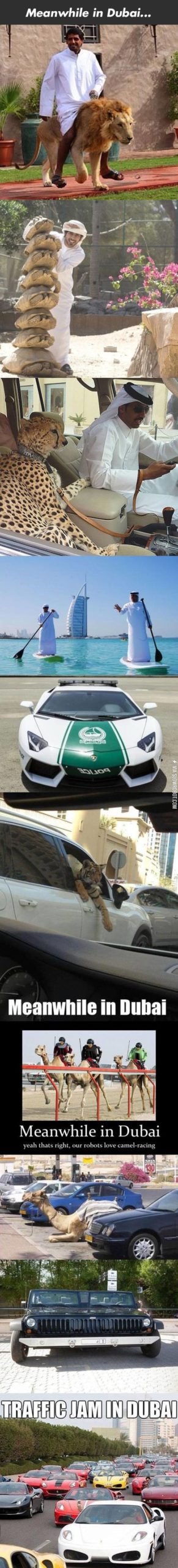 Meanwhile+in+Dubai.