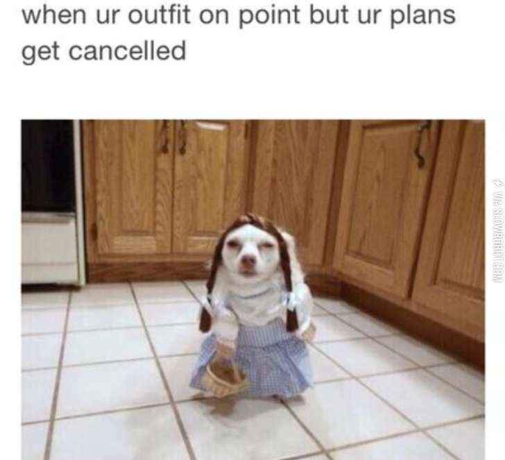 So+much+work+wasted%26%238230%3B