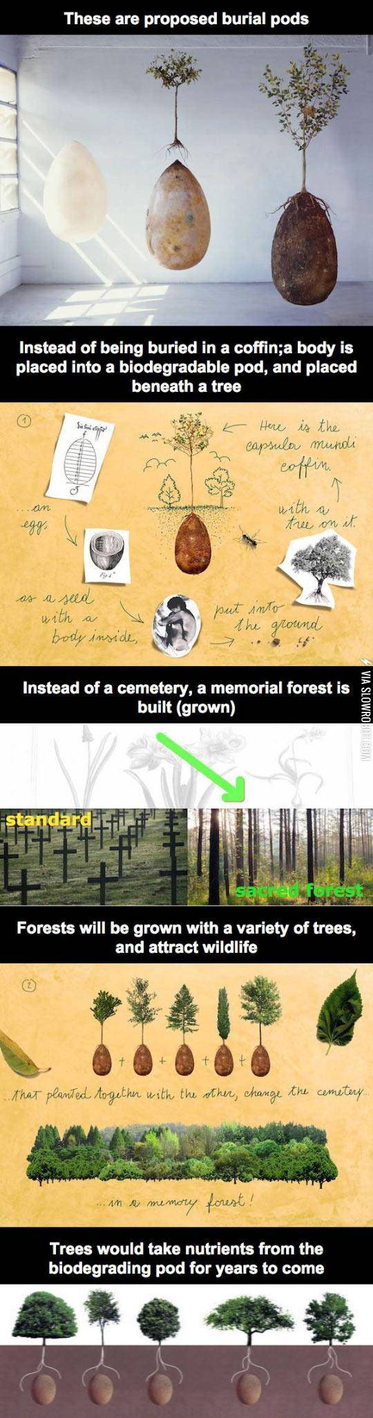 Burial+Pods%2C+Why+Aren%26%238217%3Bt+We+Funding+This%3F