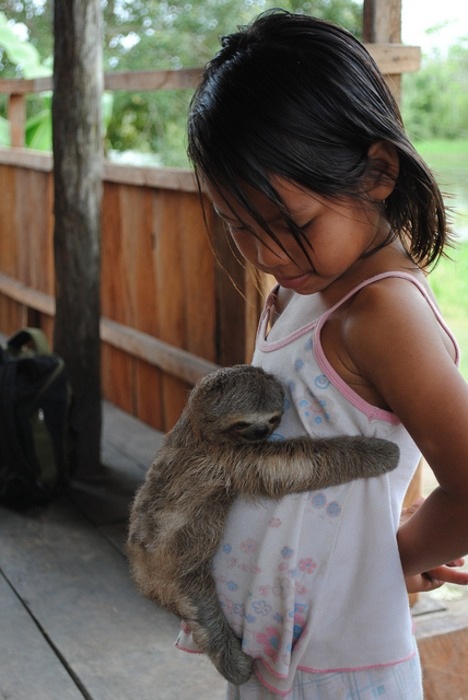 Sloth+Hug