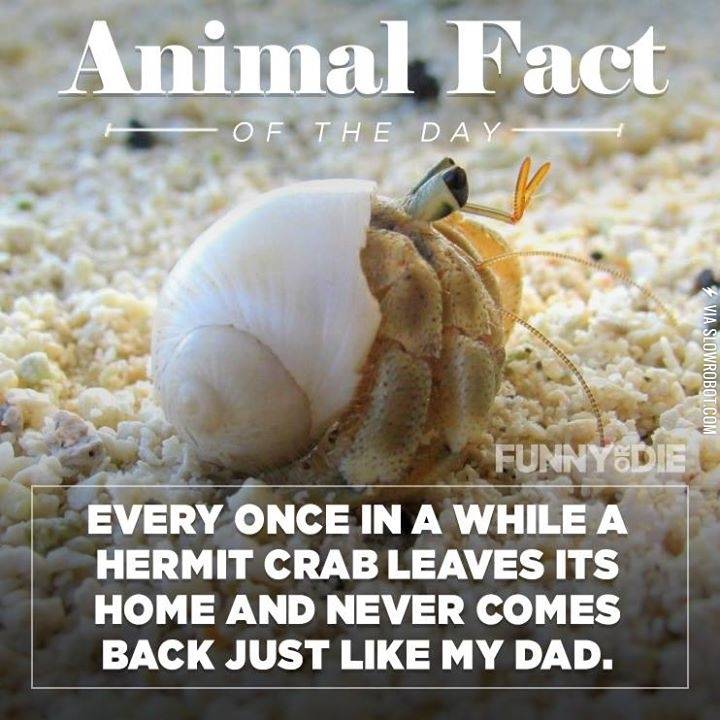 Fun+animal+fact%21