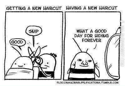 bad+haircuts