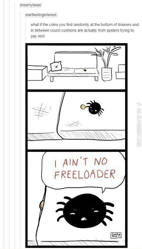 Spiders+do+care