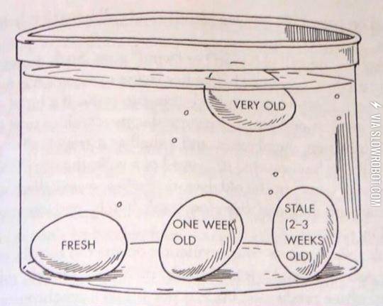Useful+Tip%3A+How+To+Test+The+Age+Of+An+Egg