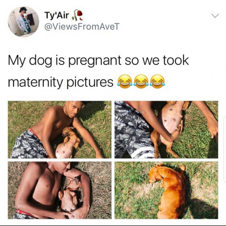 At+least+her+day+wasn%26%238217%3Bt+ruff.