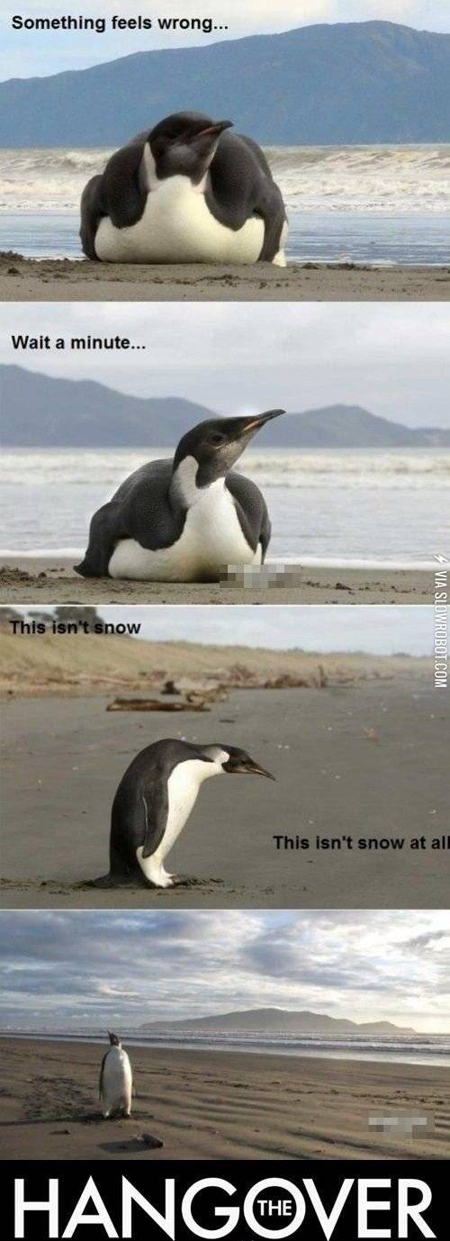 The+Hangover%2C+penguin+edition.