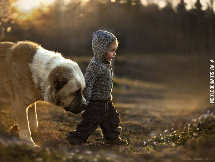 Just+a+boy+and+his+dog