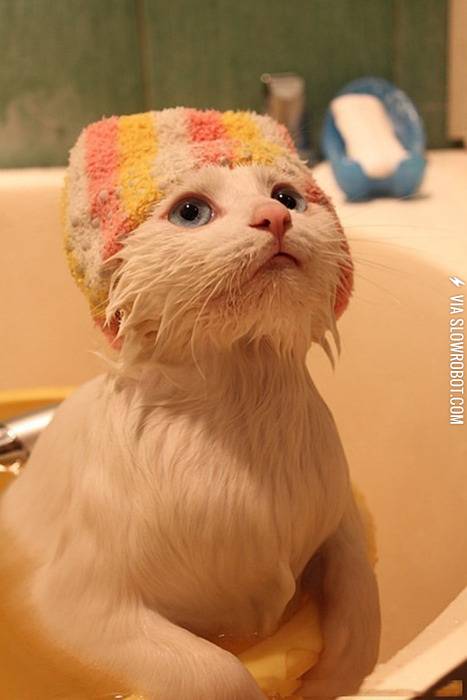 Thanks+for+not+letting+my+ears+get+wet.