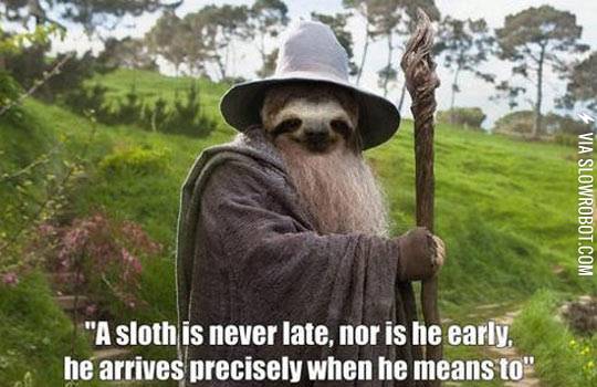 A+sloth+is+never+late.