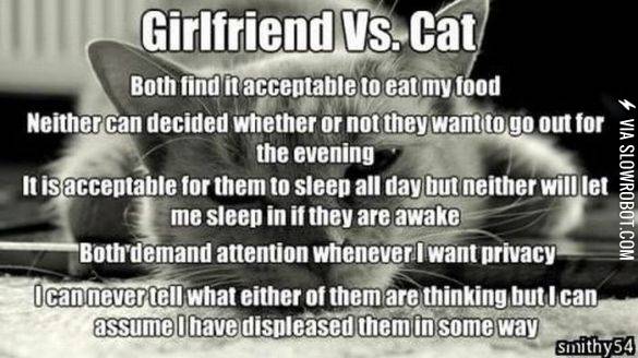 Girlfriend+vs.+Cat