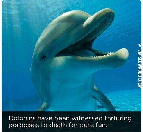 The+face+of+a+cold+blooded+killer