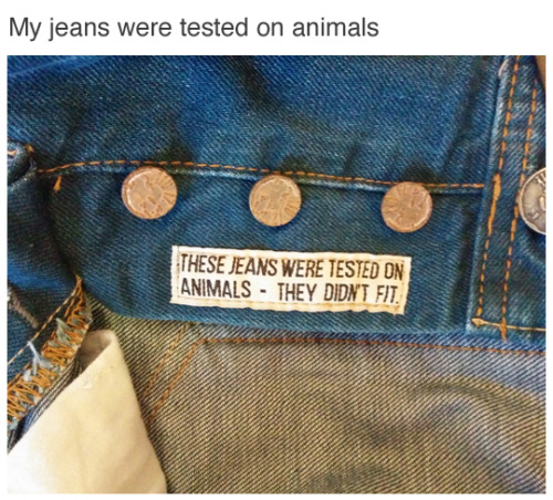 These+jeans+were+tested+on+animals.