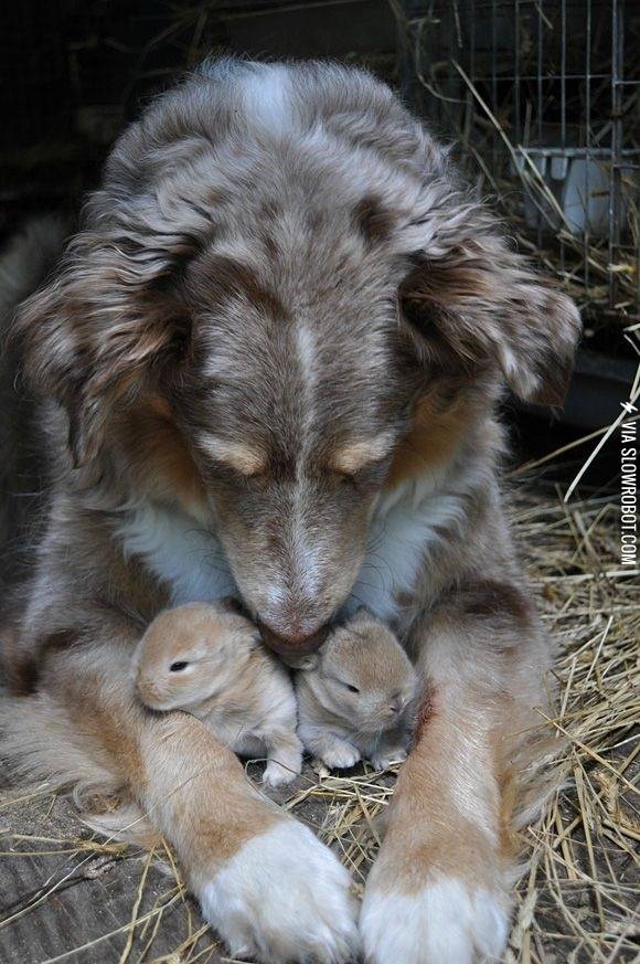 Stay+right+here+guys%2C+I%26%238217%3Bll+protect+you.