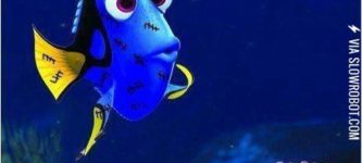 What+is+Dory+Really+Forgetting%3F
