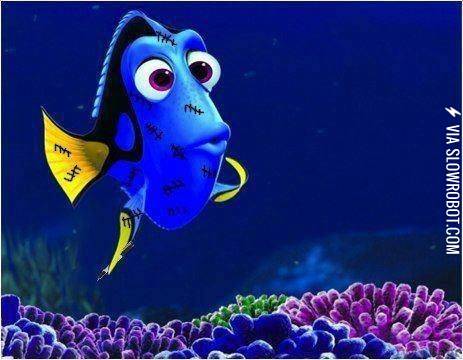 What+is+Dory+Really+Forgetting%3F