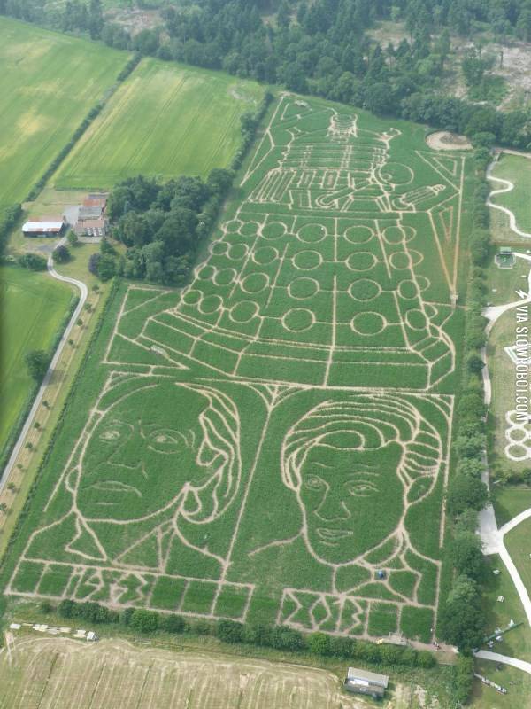 A+rather+splendid+maze+has+appeared+in+the+UK