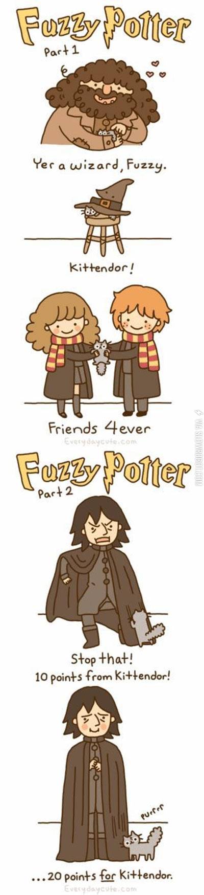 Fuzzy+Potter