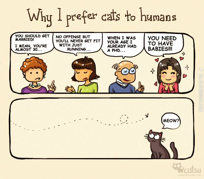 Why+I+prefer+cats+to+humans.