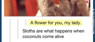 Sloths.