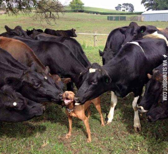 All+The+Ladies+Love+Him