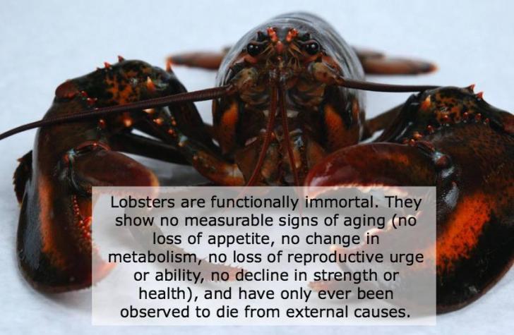 Maybe+it%26%238217%3Bs+maybeline.