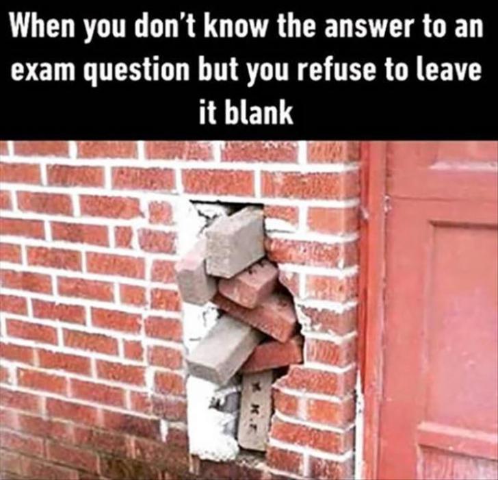 When+you+don%26%238217%3Bt+know+the+answer+to+an+exam+question+but+you+refuse+to+leave+it+blank.