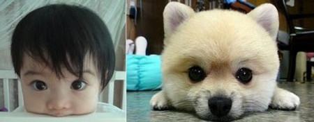 These+Two+Should+Meet