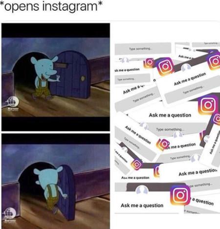 Opens+Instagram