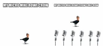 My+crow.