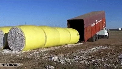 loading+truck+like+a+boss