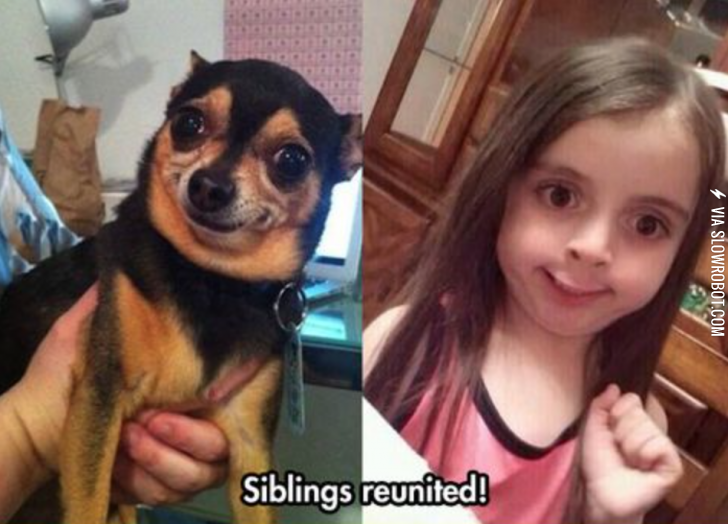 She+found+her+spirit+animal.