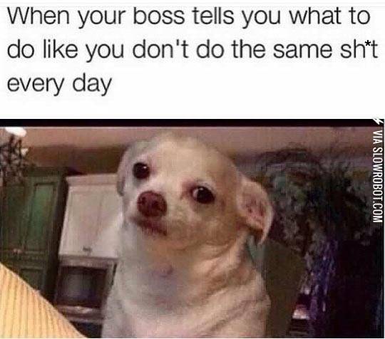 I+Do+The+Same+Thing+Everyday