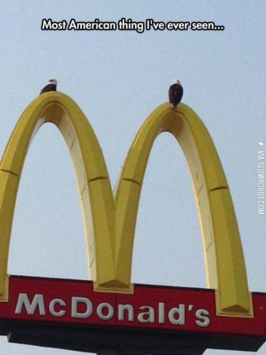 Nothing+Is+More+Patriotic+Than+This