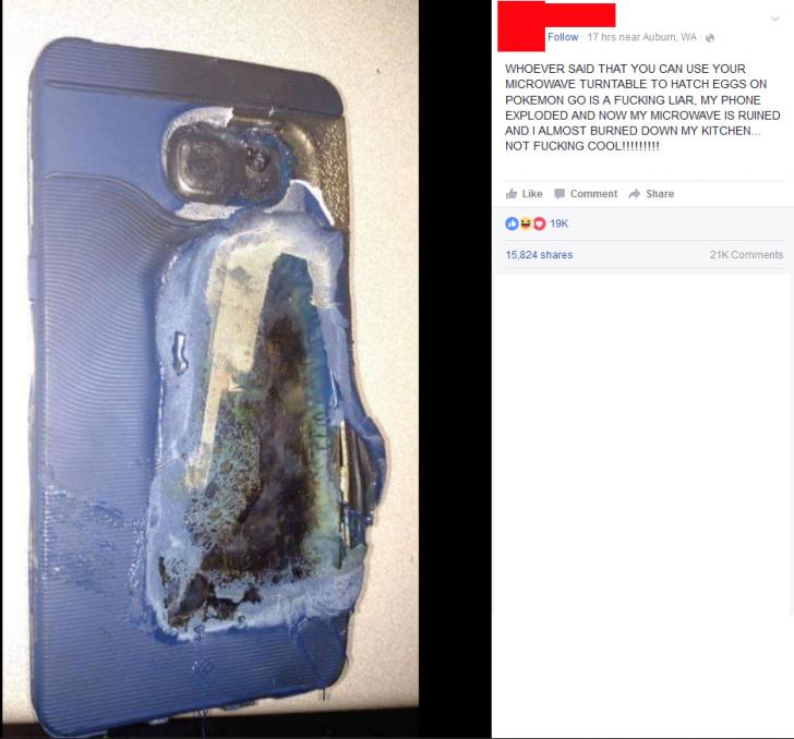 Gotta+hatch+those+eggs