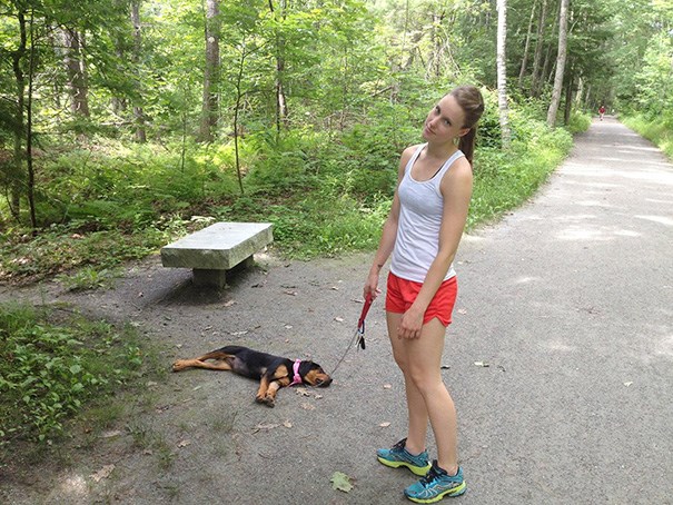 Some+dogs+just+need+a+mid-jog+nap