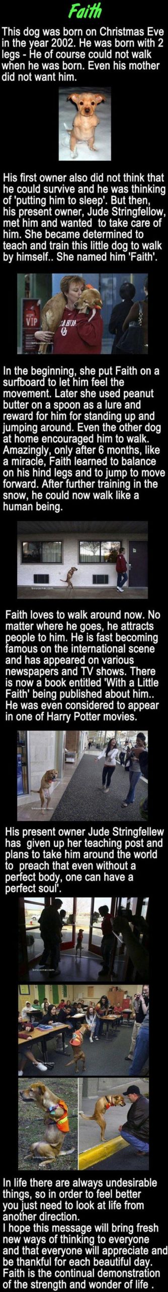 Faith+is+a+good+pupper