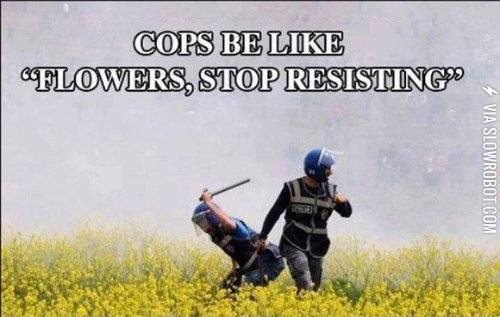 Cops+be+like%26%238230%3B